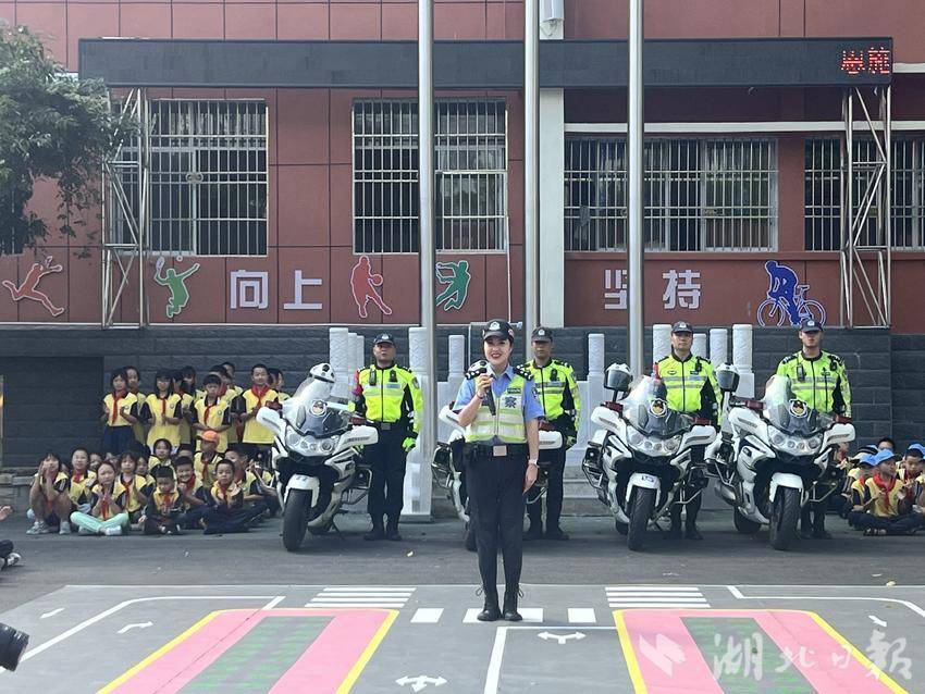 白菜担保论坛